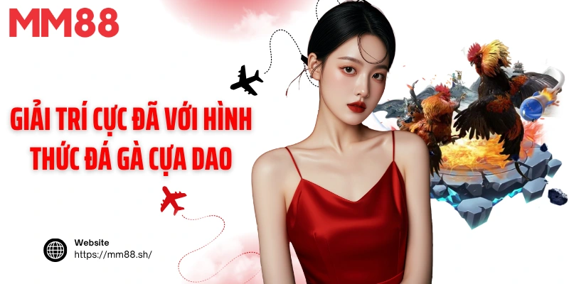 Giải trí cực đã với hình thức đá gà cựa dao