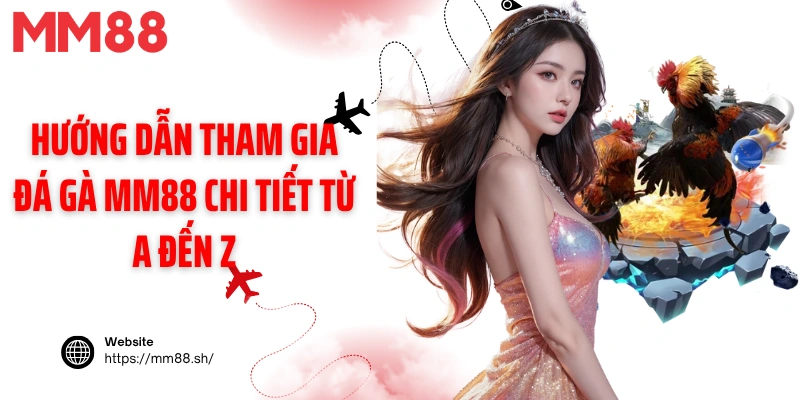 Hướng dẫn tham gia đá gà MM88 chi tiết từ A đến Z