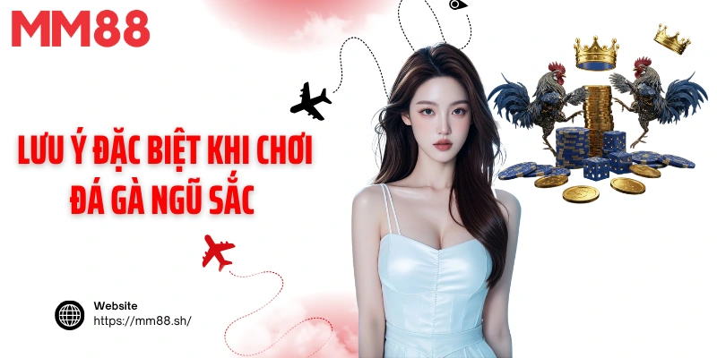Lưu ý đặc biệt khi chơi đá gà ngũ sắc tại MM88