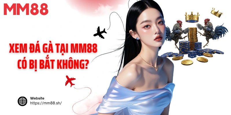 Xem đá gà tại MM88 có bị bắt không?
